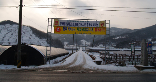 황우석 교수의 생가가 있는 부여군 은산면 홍산리 입구에 걸려 있는 현수막들. 아이러니컬하게도 '사필귀정'이라는 글귀가 눈에 들어온다. 